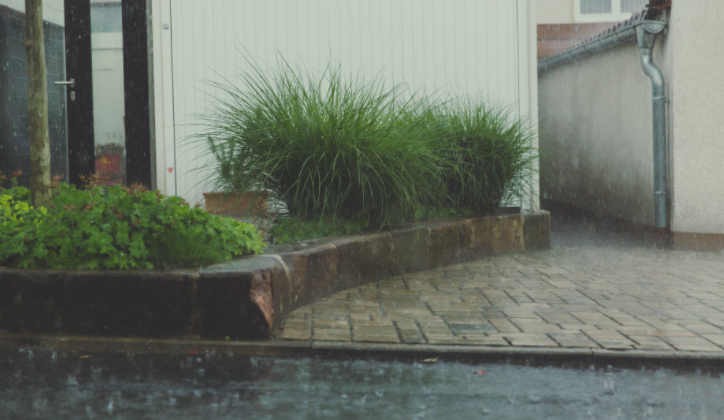 Harvesting Rainwater