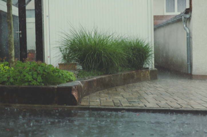 Harvesting Rainwater