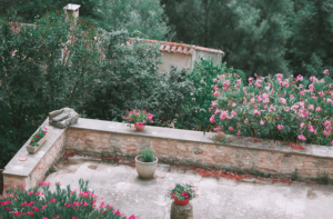 flower garden
