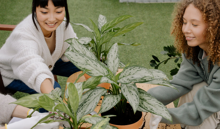 gardening